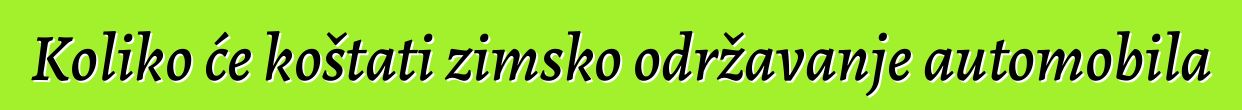 Koliko će koštati zimsko održavanje automobila