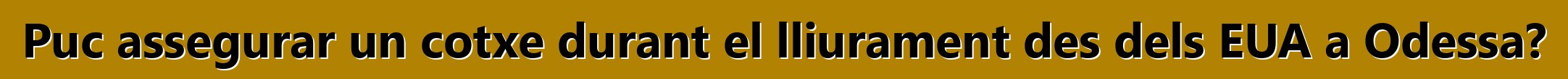 Puc assegurar un cotxe durant el lliurament des dels EUA a Odessa?