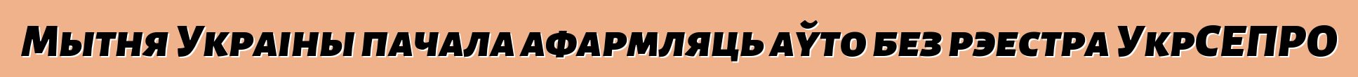 Мытня Украіны пачала афармляць аўто без рэестра УкрСЕПРО