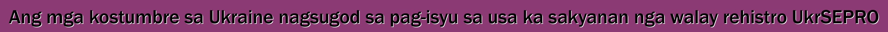 Ang mga kostumbre sa Ukraine nagsugod sa pag-isyu sa usa ka sakyanan nga walay rehistro UkrSEPRO