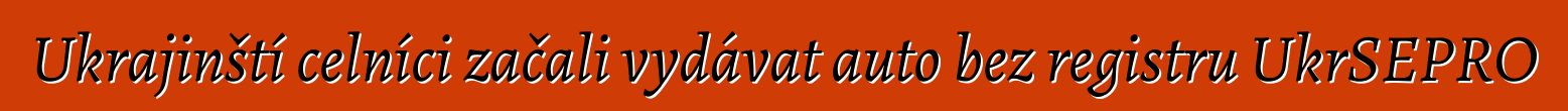 Ukrajinští celníci začali vydávat auto bez registru UkrSEPRO