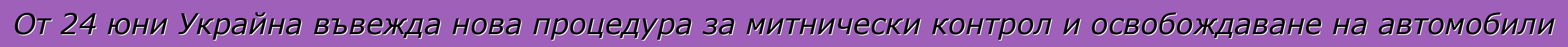 От 24 юни Украйна въвежда нова процедура за митнически контрол и освобождаване на автомобили
