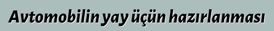 Avtomobilin yay üçün hazırlanması