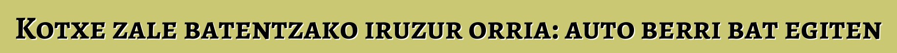 Kotxe zale batentzako iruzur orria: auto berri bat egiten