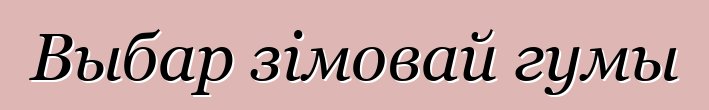 Выбар зімовай гумы