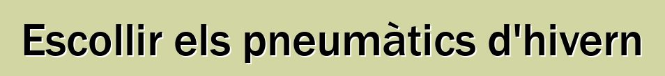 Escollir els pneumàtics d'hivern