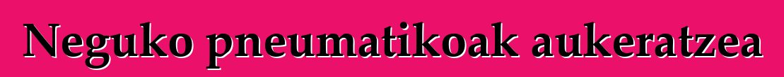 Neguko pneumatikoak aukeratzea