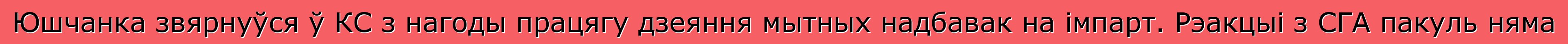 Юшчанка звярнуўся ў КС з нагоды працягу дзеяння мытных надбавак на імпарт. Рэакцыі з СГА пакуль няма