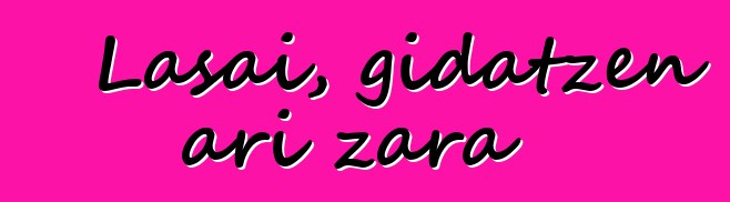 Lasai, gidatzen ari zara