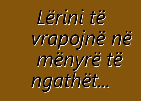Lërini të vrapojnë në mënyrë të ngathët...