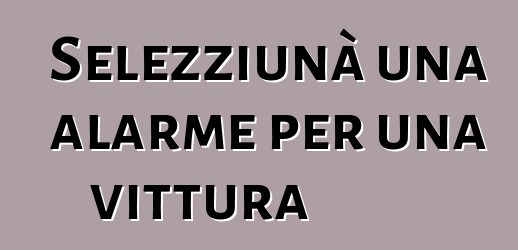 Selezziunà una alarme per una vittura
