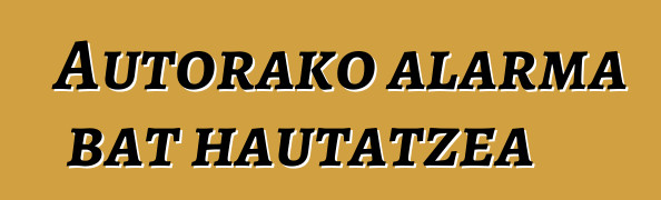 Autorako alarma bat hautatzea