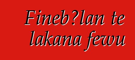 Fiɲɛbɔlan tɛ lakana fewu