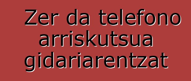 Zer da telefono arriskutsua gidariarentzat