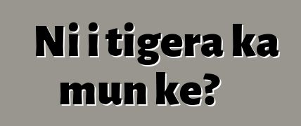 Ni i tigɛra ka mun kɛ?