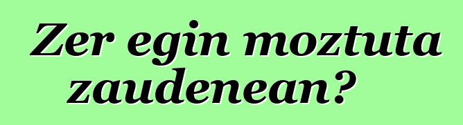 Zer egin moztuta zaudenean?