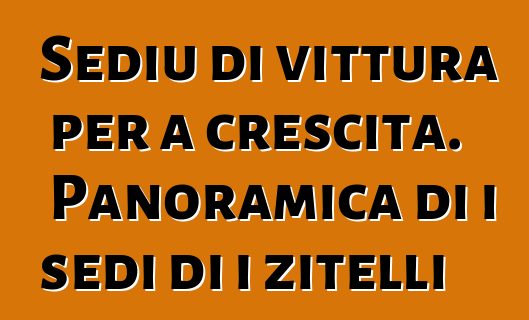 Sediu di vittura per a crescita. Panoramica di i sedi di i zitelli