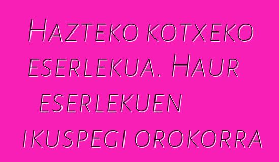 Hazteko kotxeko eserlekua. Haur eserlekuen ikuspegi orokorra