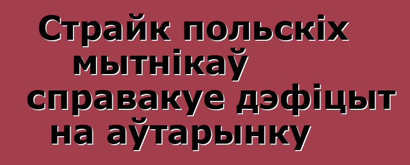 Страйк польскіх мытнікаў справакуе дэфіцыт на аўтарынку