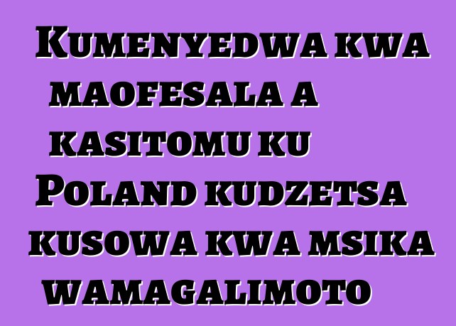 Kumenyedwa kwa maofesala a kasitomu ku Poland kudzetsa kusowa kwa msika wamagalimoto