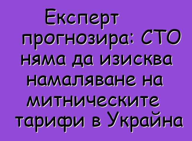 Експерт прогнозира: СТО няма да изисква намаляване на митническите тарифи в Украйна