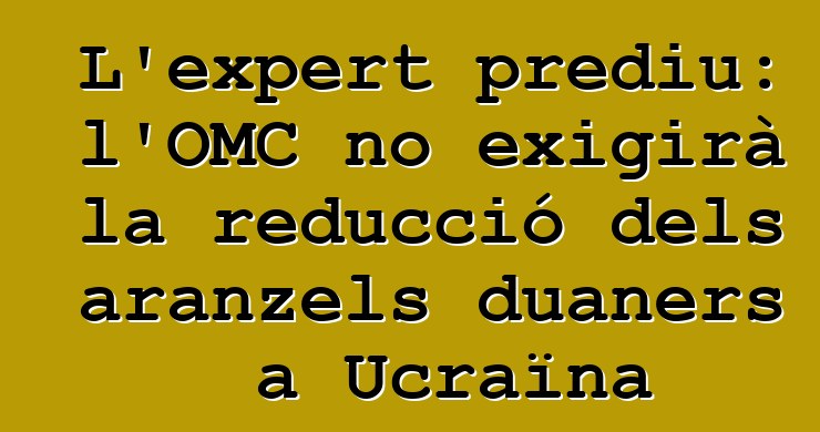 L'expert prediu: l'OMC no exigirà la reducció dels aranzels duaners a Ucraïna