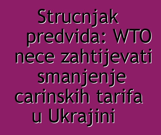Stručnjak predviđa: WTO neće zahtijevati smanjenje carinskih tarifa u Ukrajini