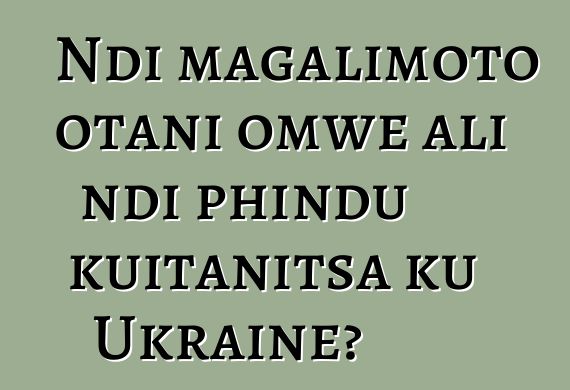 Ndi magalimoto otani omwe ali ndi phindu kuitanitsa ku Ukraine?