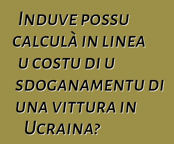 Induve possu calculà in linea u costu di u sdoganamentu di una vittura in Ucraina?