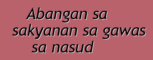 Abangan sa sakyanan sa gawas sa nasud