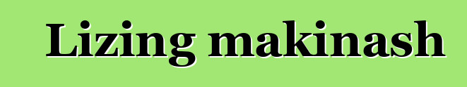 Lizing makinash