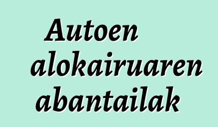 Autoen alokairuaren abantailak