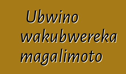 Ubwino wakubwereka magalimoto