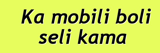 Ka mobili boli seli kama