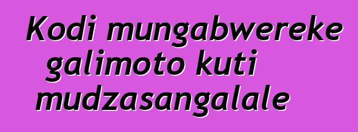 Kodi mungabwereke galimoto kuti mudzasangalale