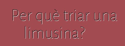Per què triar una limusina?