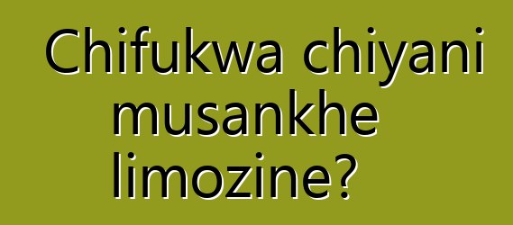 Chifukwa chiyani musankhe limozine?