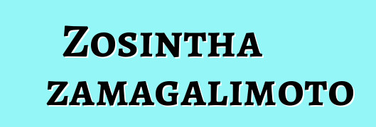 Zosintha zamagalimoto