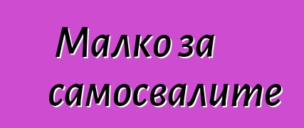 Малко за самосвалите