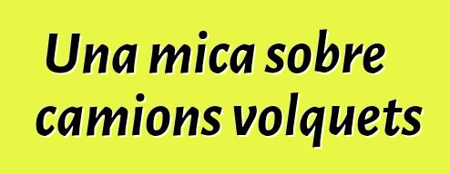 Una mica sobre camions volquets