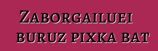 Zaborgailuei buruz pixka bat