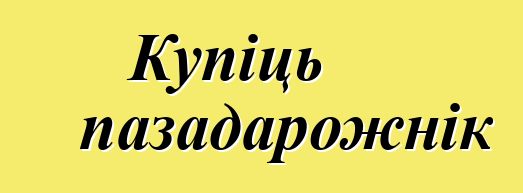 Купіць пазадарожнік