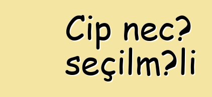 Cip necə seçilməli