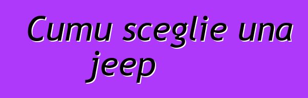 Cumu sceglie una jeep
