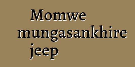 Momwe mungasankhire jeep