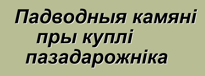 Падводныя камяні пры куплі пазадарожніка
