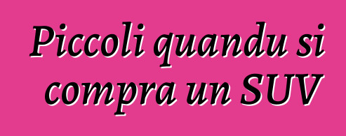 Piccoli quandu si compra un SUV