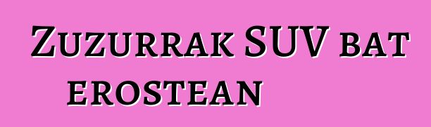 Zuzurrak SUV bat erostean