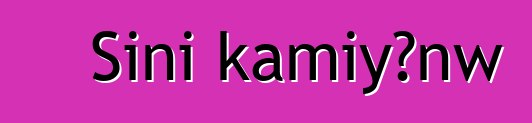 Sini kamiyɔnw