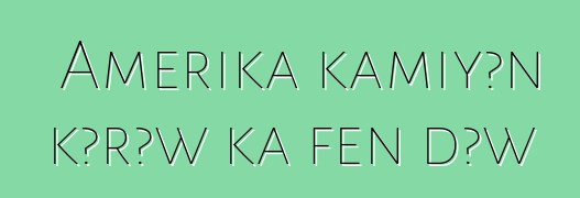 Amerika kamiyɔn kɔrɔw ka fɛn dɔw